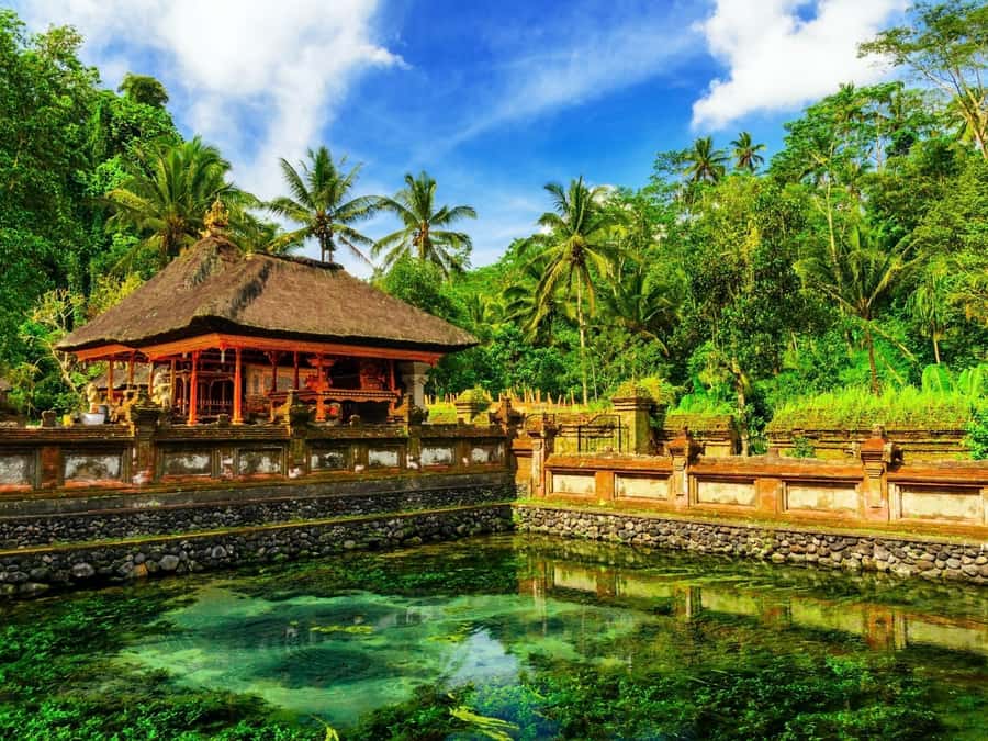 Bali: Ubud Spiritual Journey with purification ceremony. - Key points before you go