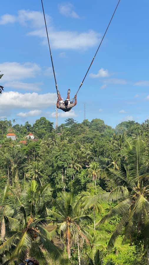 Bali: Ubud Swing Experience with Jungle View - Ubud Coffee Tasting After the Thrill: A Calmer Second Half