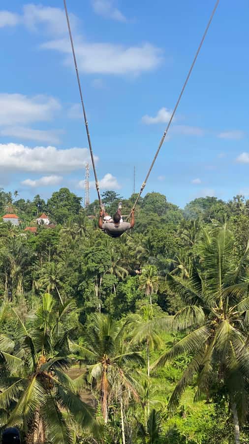 Bali: Ubud Swing Experience with Jungle View - Where This Experience Shines Most (and Where It Might Not)