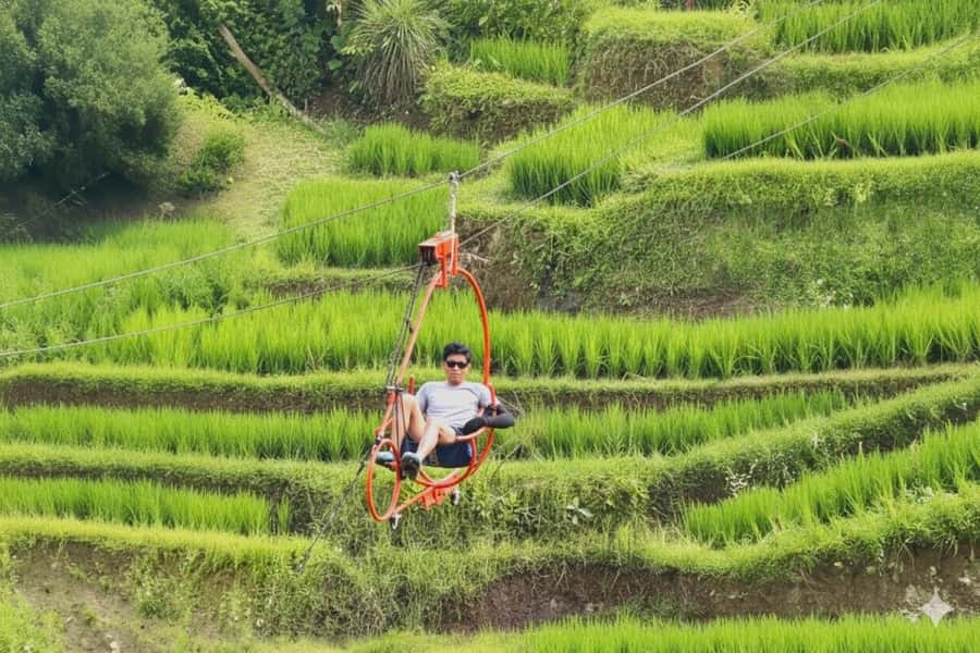 Bali/Ubud: Swing, Zipline & SkyBike Rice Terrace Adventure - Rice Terrace Walk and Guided Cultural Tour on Private Tracks
