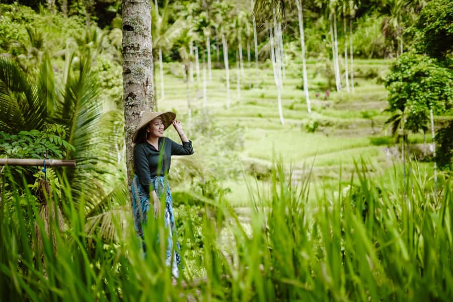 Bali: Ubud, Tegalalang, and Tanah Lot Temple Day Trip - Price and value at around $32: what you pay for, what you still need
