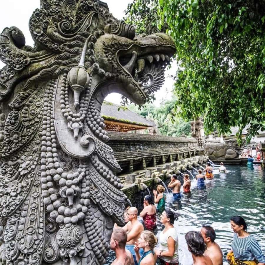 Bali Ubud Tour Best of Ubud Higlight with private Transfers - Key things that make this Ubud day tour worth it