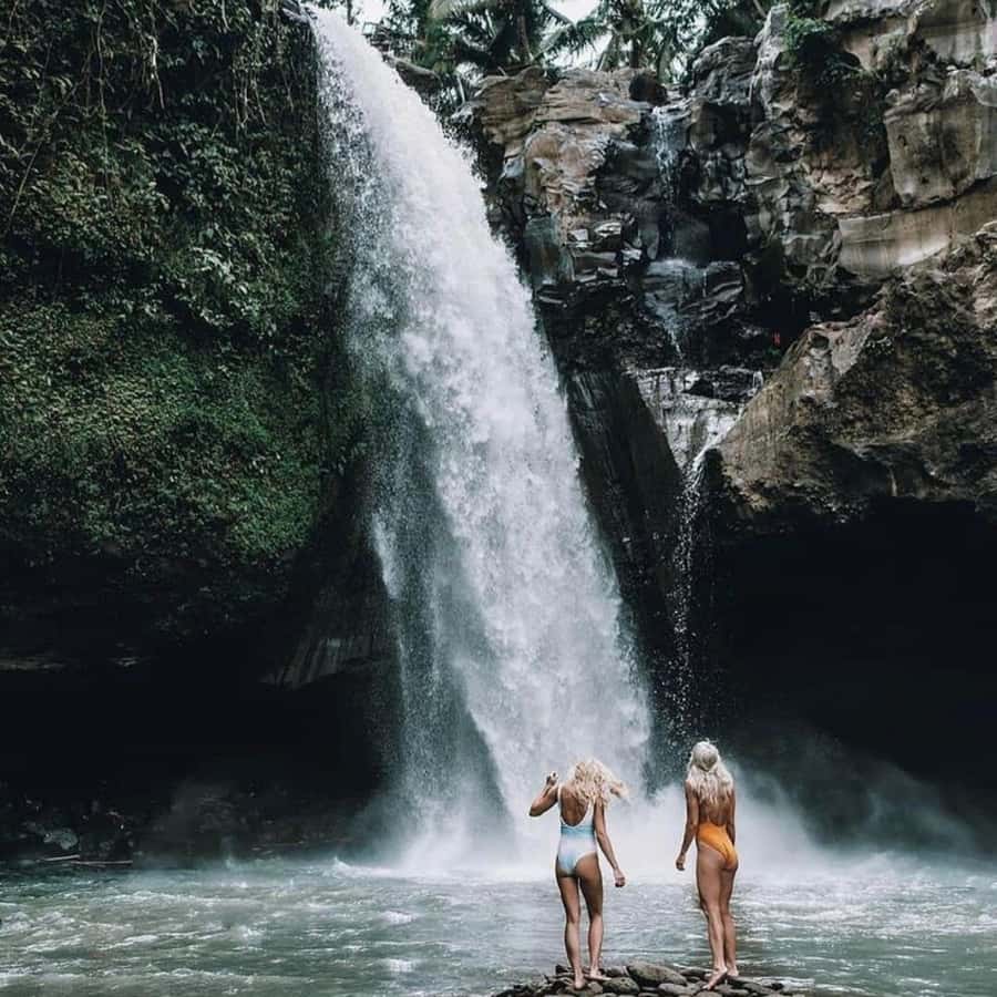 Bali Ubud Tour Best of Ubud Higlight with private Transfers - Sacred Monkey Forest Sanctuary: dragon bridge, forest paths, and a lot of life