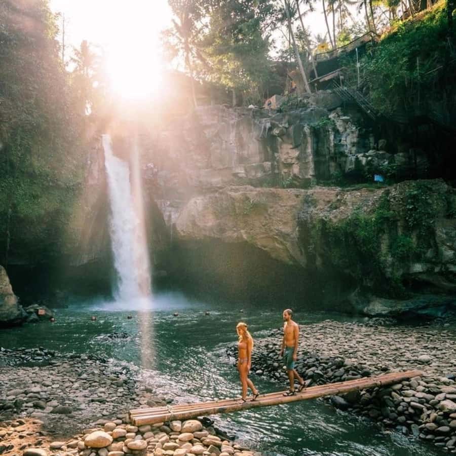 Bali Ubud Tour Best of Ubud Higlight with private Transfers - Ubud lunch break: recharge time in the middle of the day