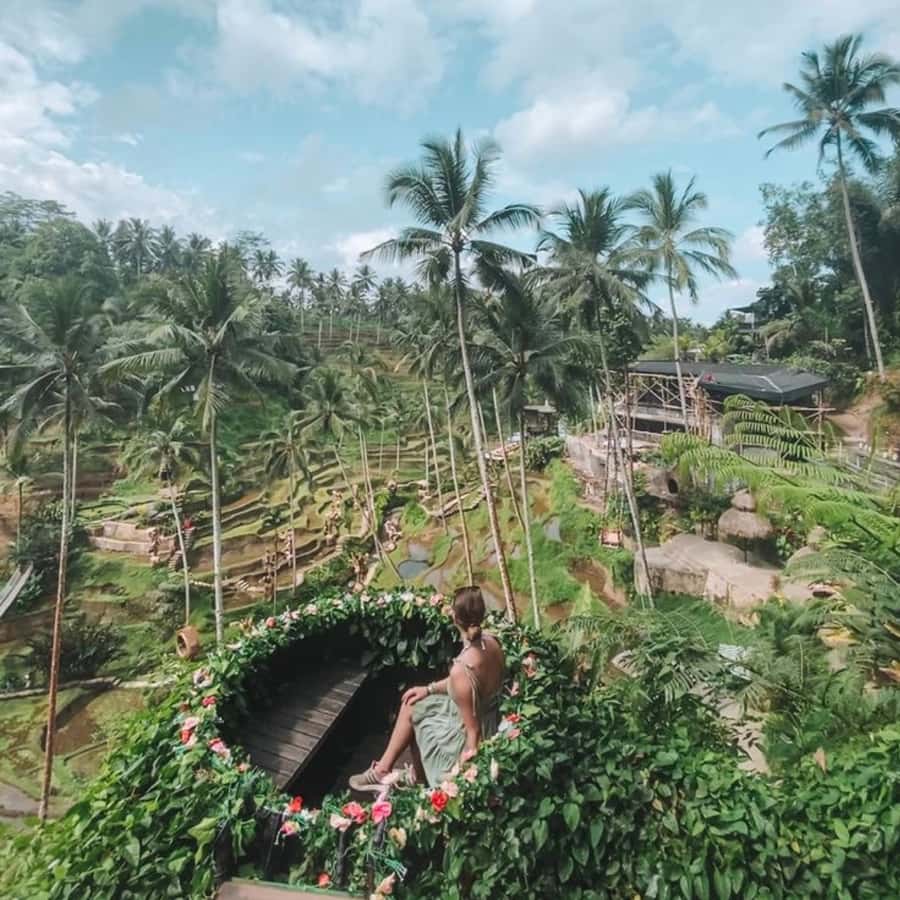 Bali Ubud Tour Best of Ubud Higlight with private Transfers - Who should book this Ubud highlights tour?