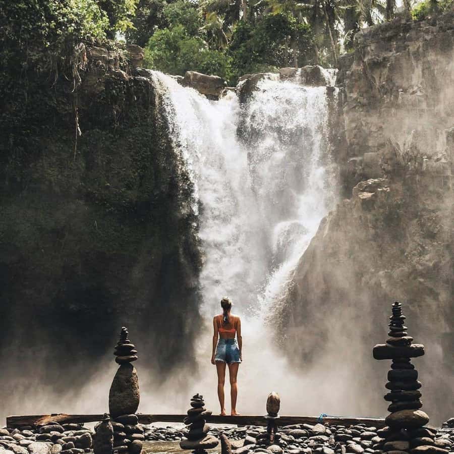 Bali Ubud Tour Best of Ubud Higlight with private Transfers - Tegalalang Rice Terrace: cliff views and Subak irrigation lessons