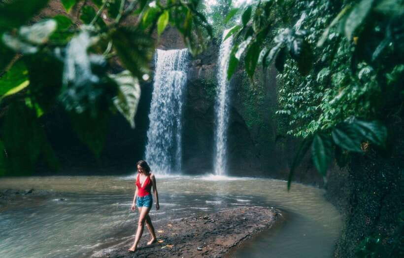 Bali: Ubud Tour with Tirta Empul Temple and Rice Terrace - A 7-Hour Ubud Circuit With Big Contrast