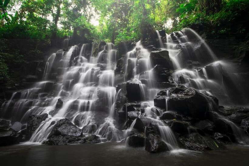 Bali: Ubud Tour with Tirta Empul Temple and Rice Terrace - Price and Value: Why This Often Feels Like a Bargain