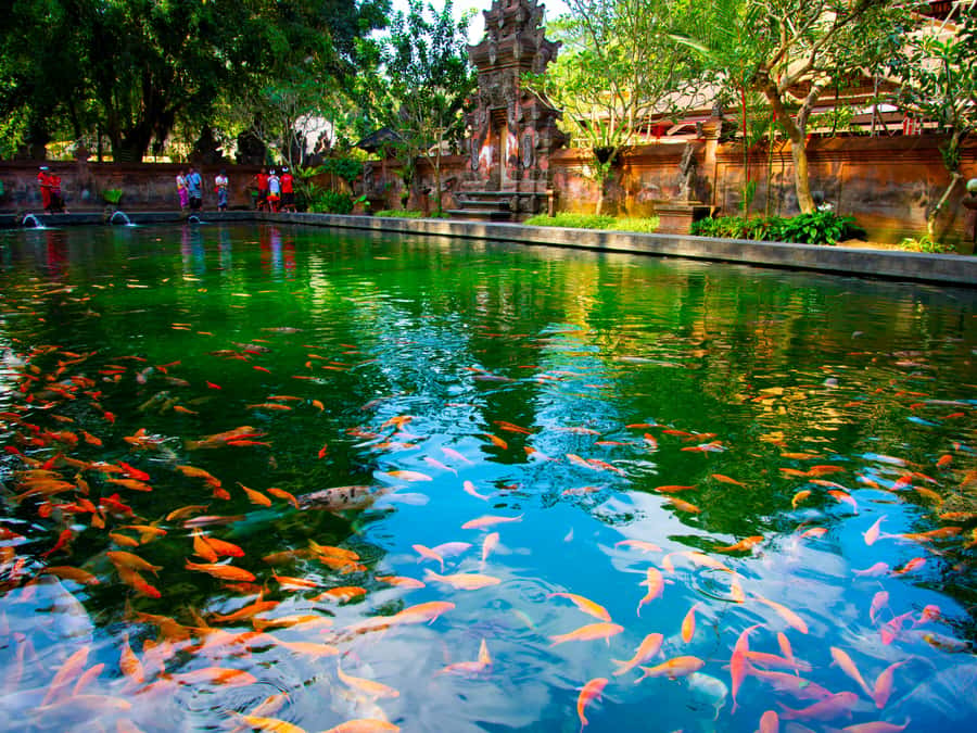 Bali: Ubud Traditional Balinese Purification - What Gunung Kawi adds after the water cleansing