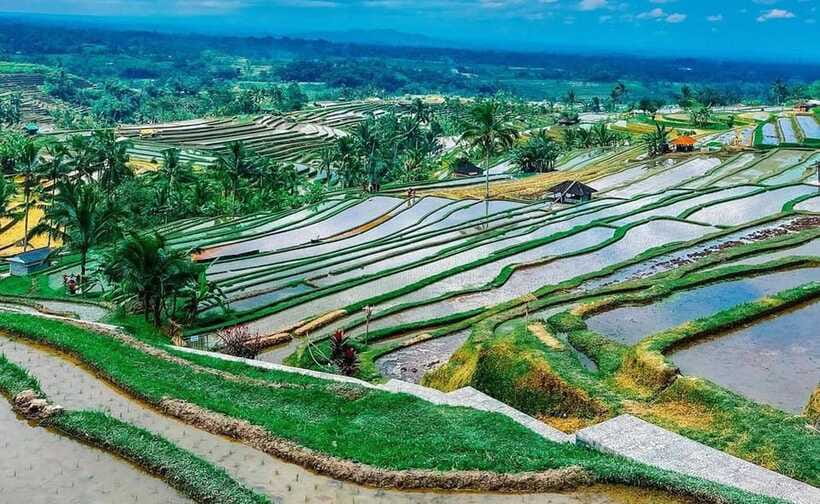Bali : Ulun Danu Beratan Temple and UNESCO Rice Terrace Tour - Included Comforts, Small Costs, and the One Thing People Forget