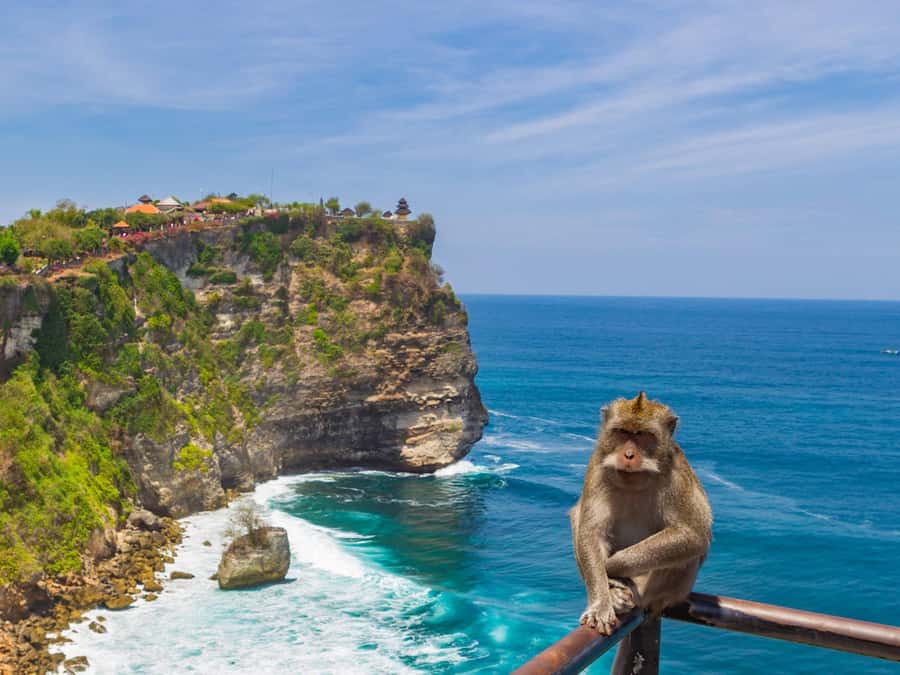 Bali: Uluwatu Temple, Kecak Dance, and Jimbaran Dinner Tour - Practical tips: what to bring, what to wear, and what to avoid