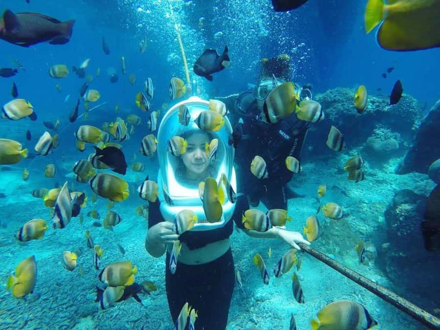 Bali: Underwater Sea Walk, Uluwatu Temple, and Kecak Dance - Who This Tour Fits Best, and Who Should Skip It