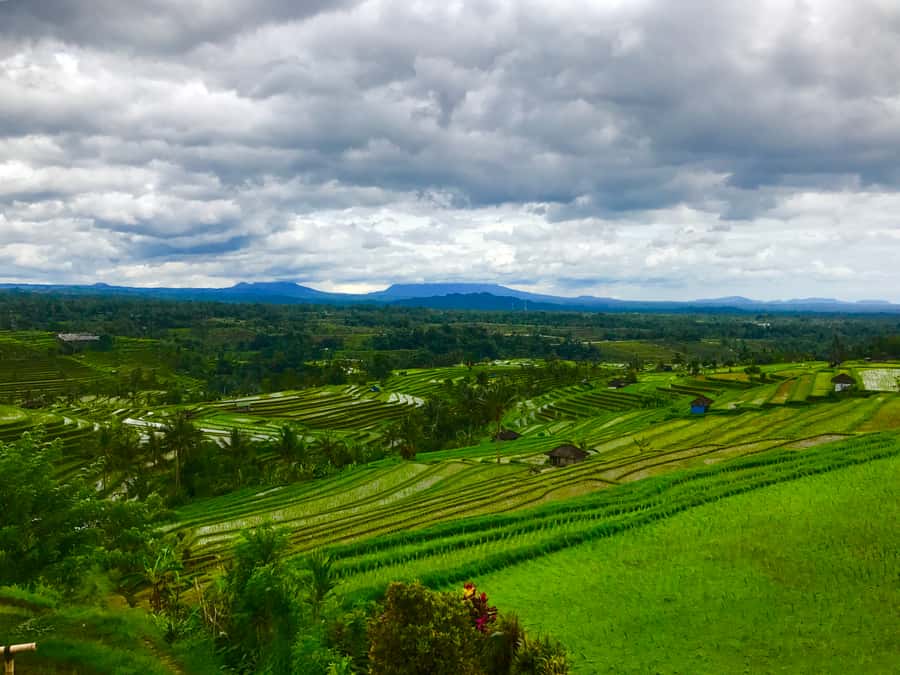 Bali UNESCO Sites: Private Guided Full-Day Tour - What to bring and how to dress for active temples