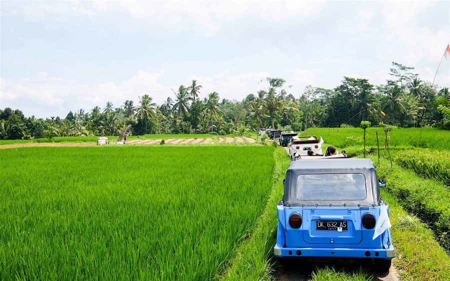 Bali: Vintage VW Jeep Countryside Safari - Key things you’ll remember