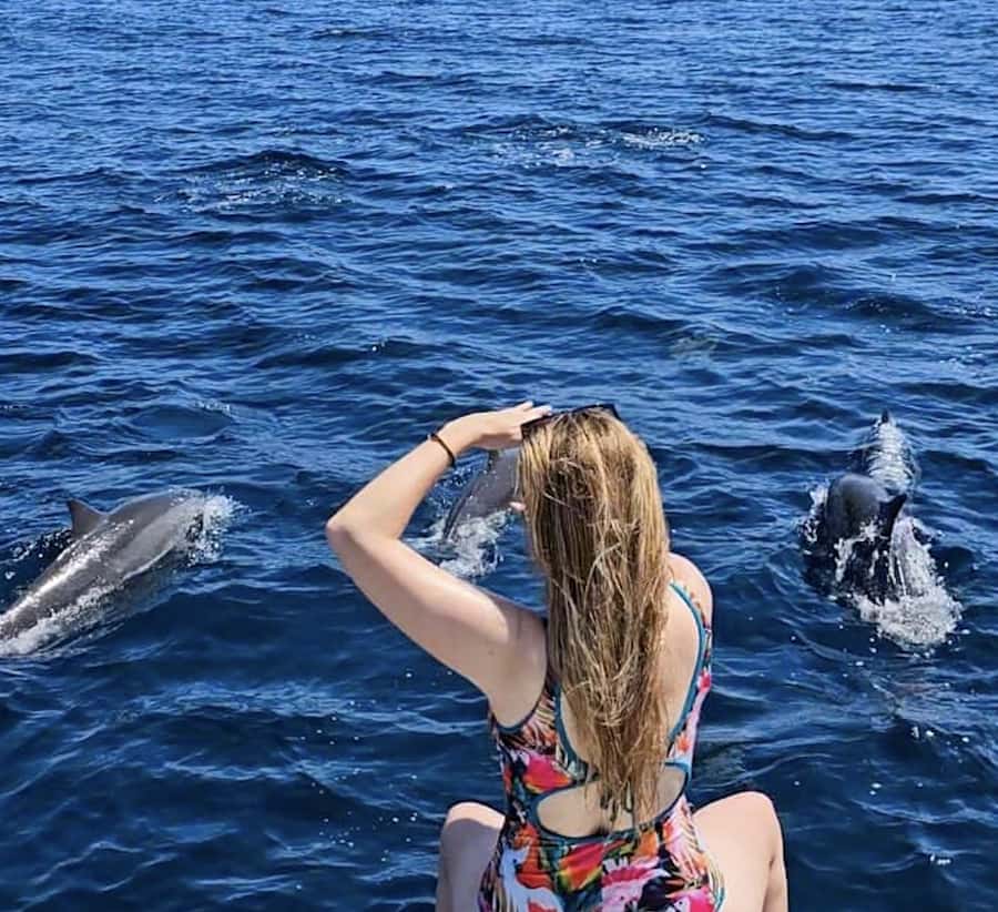 Bali: Watching Dolphin, Swimming & Snorkeling Tour - Why Lovina’s North Coast is built for dolphin mornings