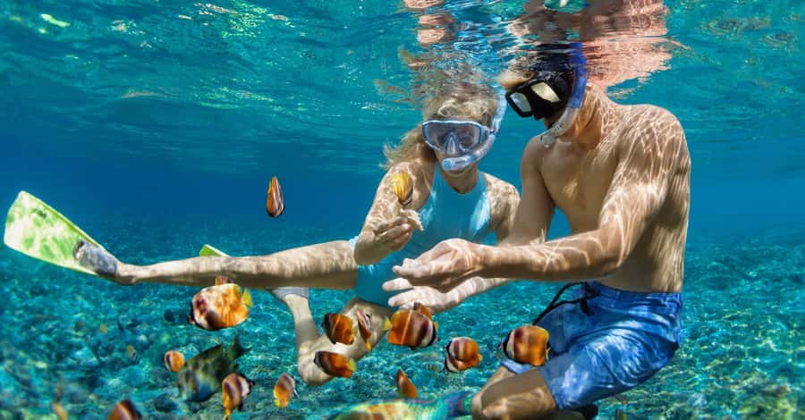 Bali: Watching Dolphin, Swimming & Snorkeling Tour - Snorkeling after dolphins: what the reef time gives you