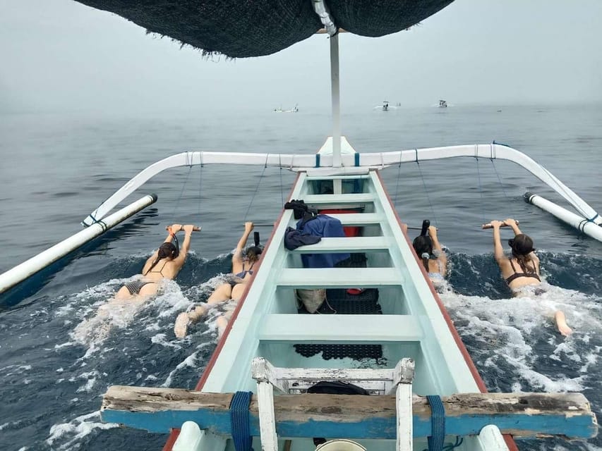 Bali: Watching Dolphin, Swimming & Snorkeling Tour - Getting there smoothly: meeting point and optional transfers
