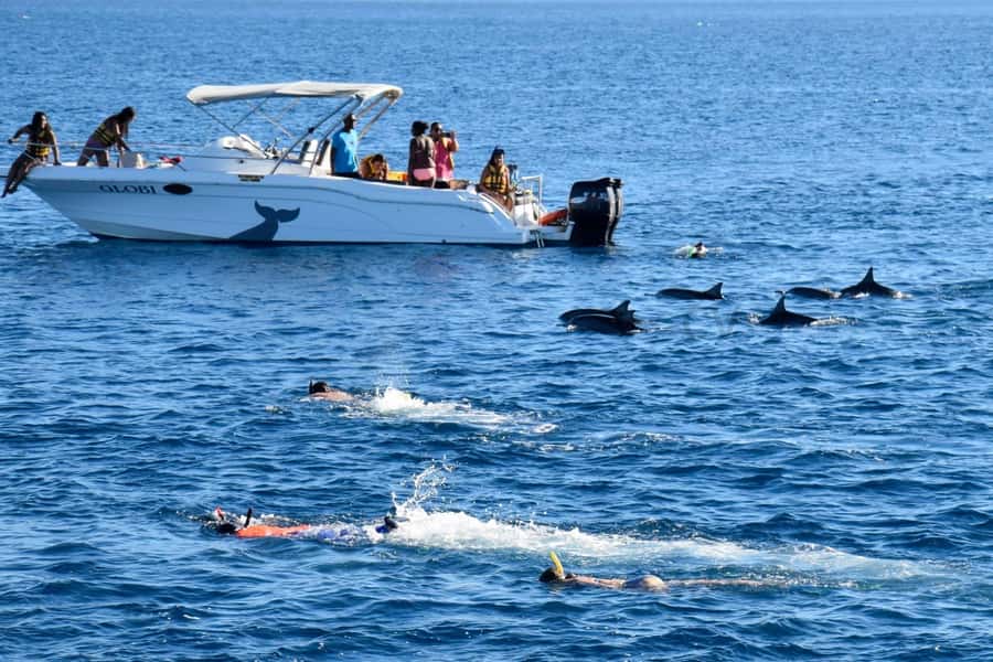 Bali: Watching Dolphin, Swimming & Snorkeling Tour - Choosing the right swimmer level (and what gear helps)