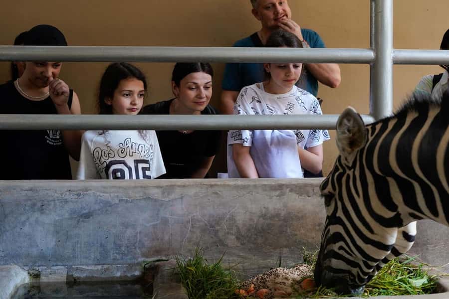 Bali Zoo: Behind Closed Doors Afternoon Safari Guided Tour - Orangutans, Elephants, and Close Encounters You Can Actually Learn From