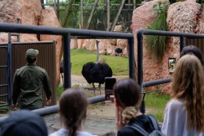 Bali Zoo: Behind Closed Doors Afternoon Safari Guided Tour