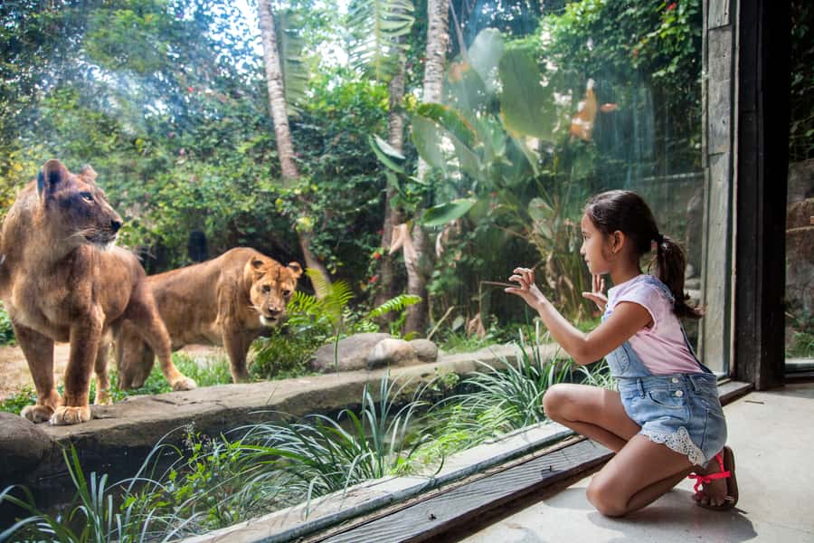 Bali Zoo Entrance Ticket - The 8-Hectare Grounds: Animals You Can Plan Around
