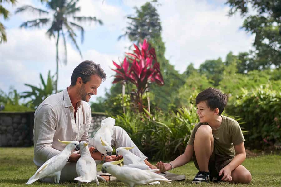 Bali Zoo: Guided Breakfast With Observing Orangutans - Elephant Mud Care: A Hands-On Lesson for Sumatran Elephants
