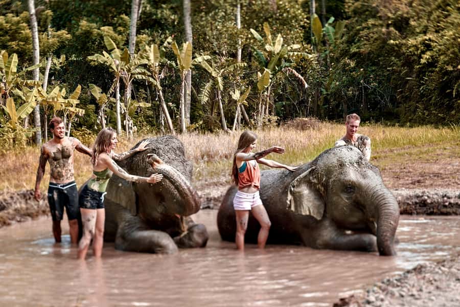 Bali Zoo: Guided Ethical Elephant Care Experience - Key things that make this elephant day different
