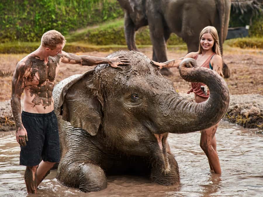 Bali Zoo: Guided Ethical Elephant Care Experience - Getting There From Bali Resorts, and Why the Early Start Helps