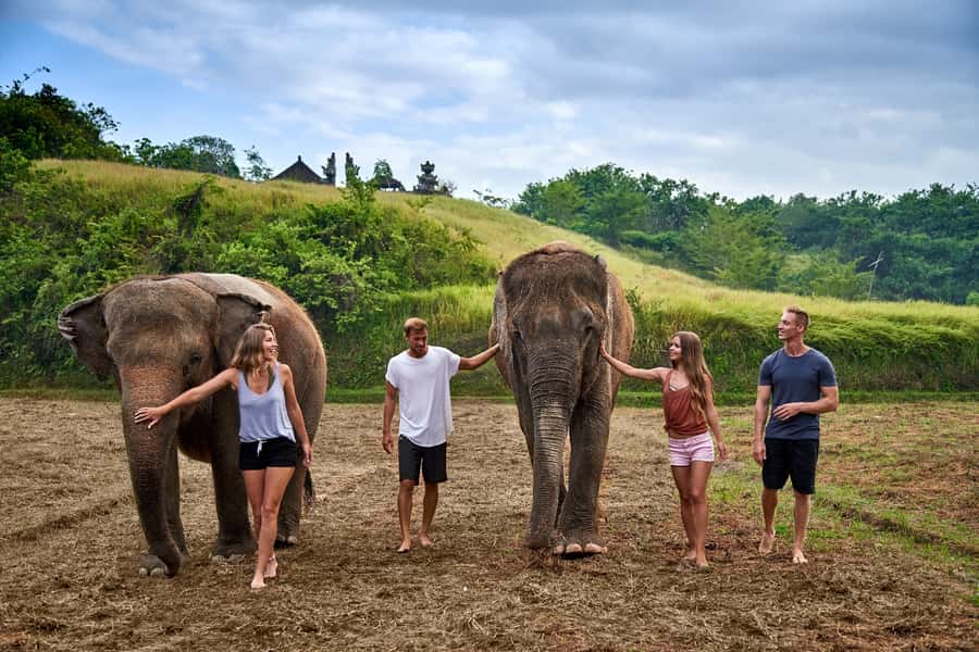 Bali Zoo: Guided Ethical Elephant Care Experience - Ethical Elephant Care in Real Elephant Time
