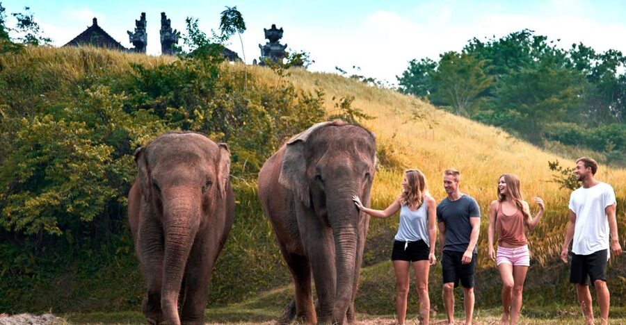 Bali Zoo: Guided Ethical Elephant Care Experience - Mud Spa, River Walk, and Assisted Scrubbing (Elephant-Led Play)