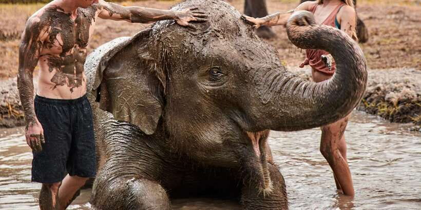 Bali Zoo: Guided Ethical Elephant Care Experience - Small Practical Tips That Make Elephant Mud Day Way Better