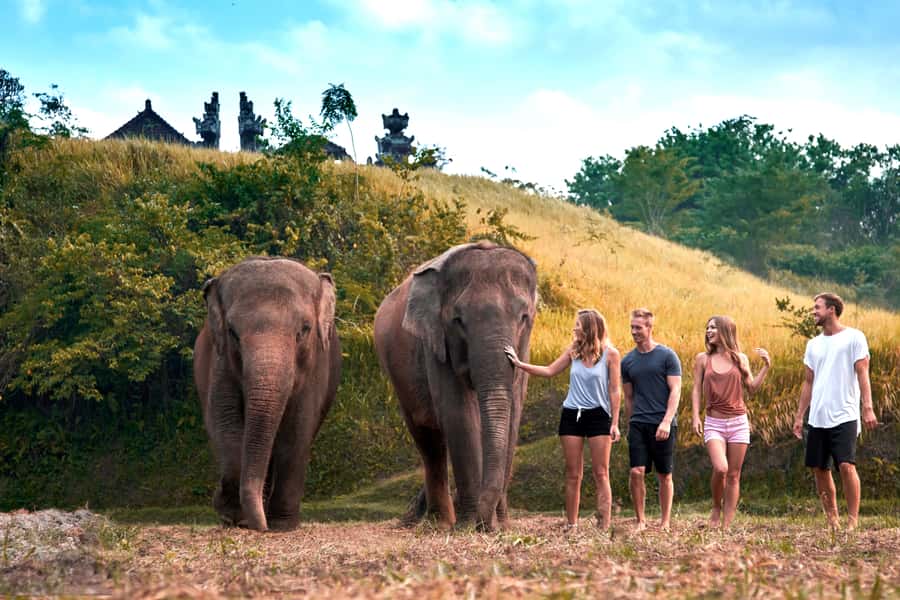 Bali Zoo: Guided Ethical Elephant Care Experience - Kampung Sumatra Check-In and the Mahout Briefing
