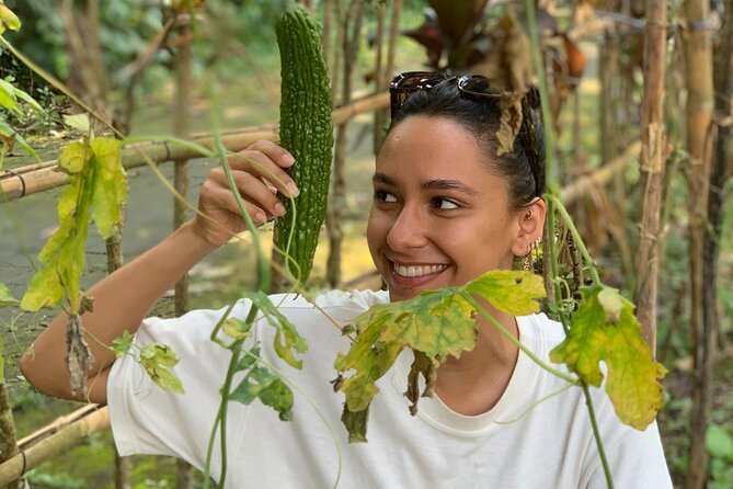 Balinese Authentic Cooking Class in Ubud - Farm Harvesting: Picking Ingredients Before You Cook Them