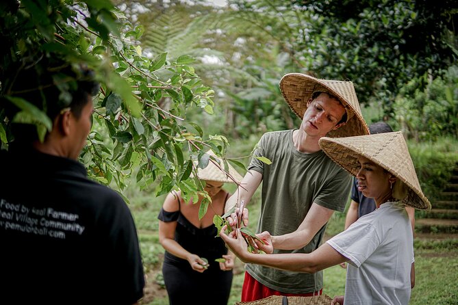 Balinese Farm Cooking Class by Pemulan Bali - Ubud Market Stop: Buying Ingredients Like a Local