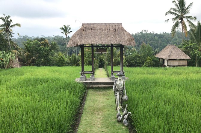 Balinese Life Style Tour - Segara Windhu Coffee Plantation tasting, plus a break