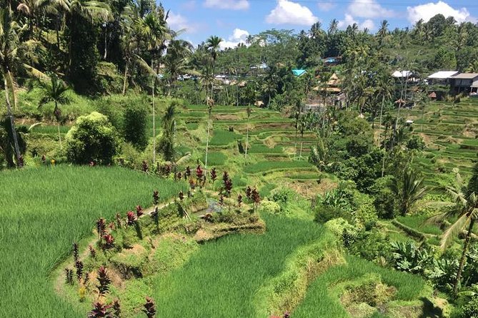 Balinese Life Style Tour - 8:30 am pickup and how to prepare for a full day