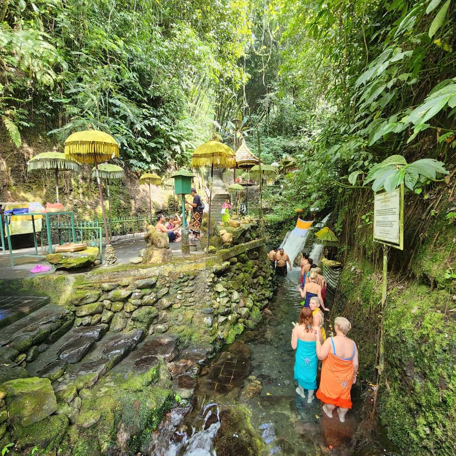 Balinese Purification at holy water temple with Local - Getting temple-ready: clothes, sarongs, and slippery stairs