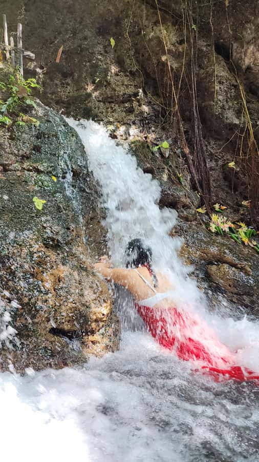 Balinese Purification at holy water temple with Local - Your morning flow in Ubud: pickup, driver comfort, and a real guide