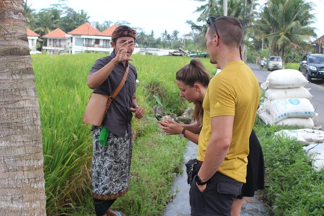 Balinese Ubud cooking school (9 Dish Cooking and Market Tour) - The food part: tasting first, then a lunch or dinner buffet