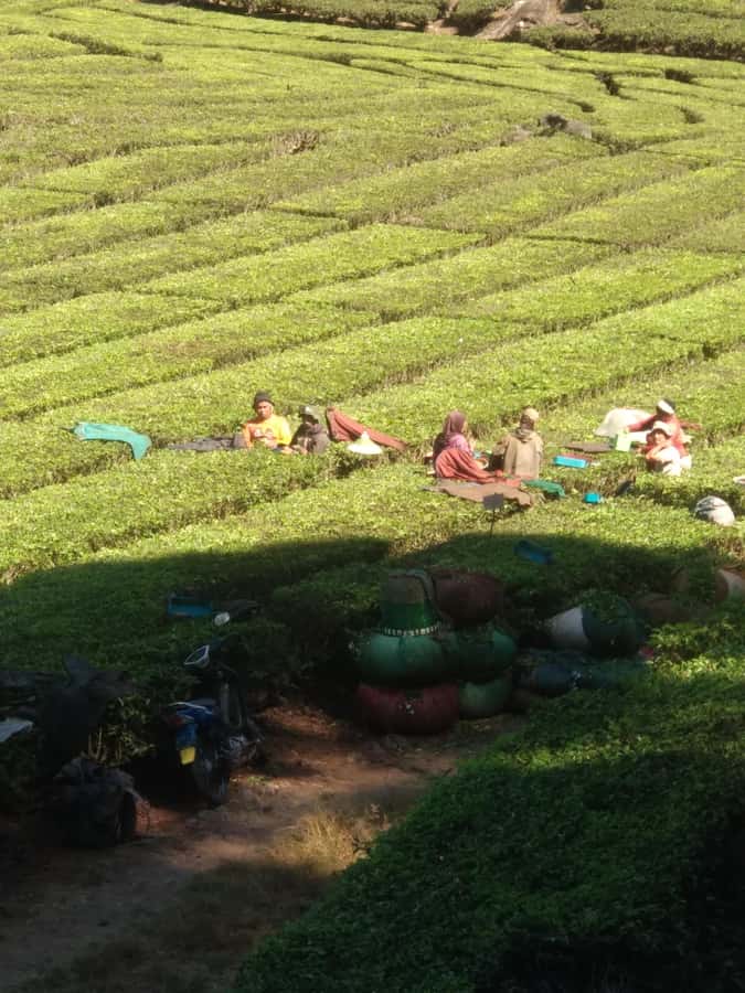 Bandung : Private Tour Guide Sightseeing (Costum tour) - Price and logistics: is $46 per person good value?