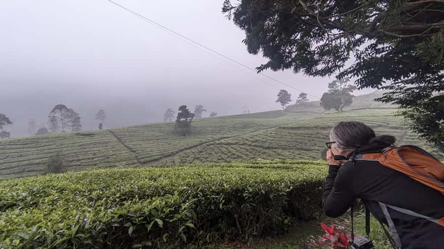 Bandung: Tangkuban Parahu Volcano, Waterfall & Culture Tour - Key highlights worth putting on your plan