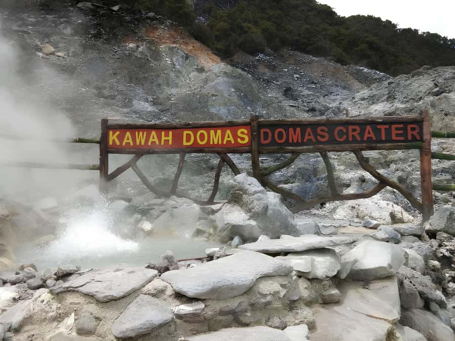 Bandung Tangkuban Perahu Volcano Tours - Orchid Forest Cikole: Canopy Bridges, Orchids, and Easy Photo Wins (Option A)