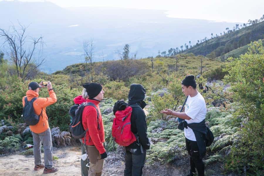 Banyuwangi/Bali: Ijen Crater Blue Fire & Sunrise Guided Tour - Getting to the start: pickup options and why early timing matters
