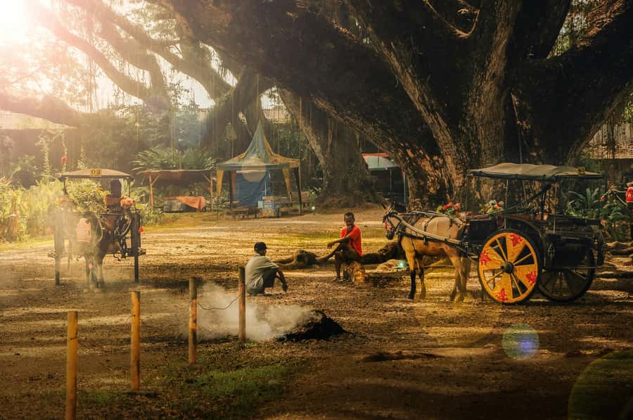 Banyuwangi: De Djawatan, Green, and Red Island Day Trip - Green Island Banyuwangi: calm water and the kind of beach time you actually remember