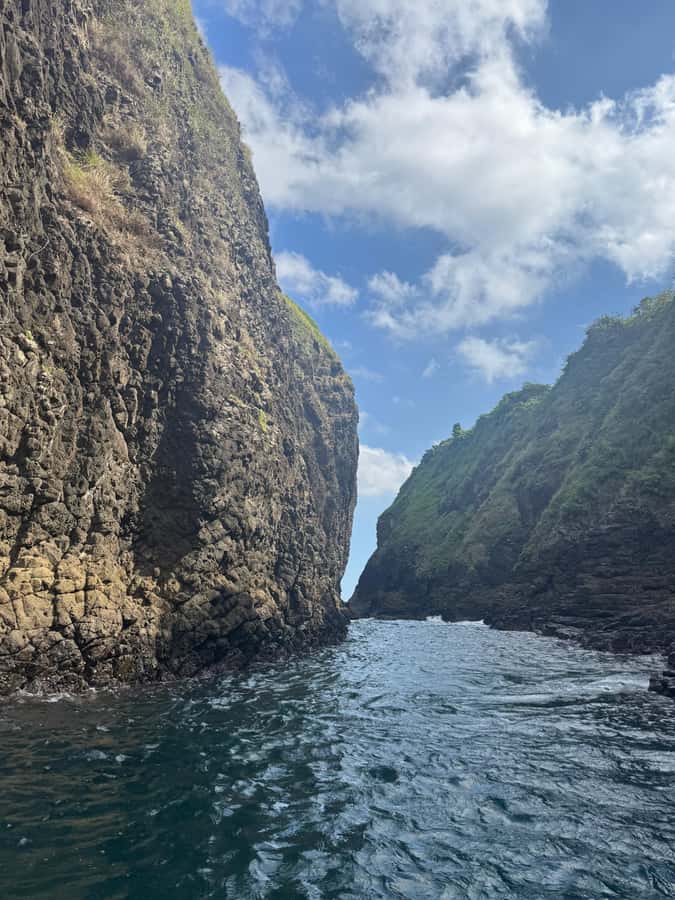 Banyuwangi: De Djawatan, Green, and Red Island Day Trip - Pulau Bedil: quiet coast photos and swimming with coral-rich seabed