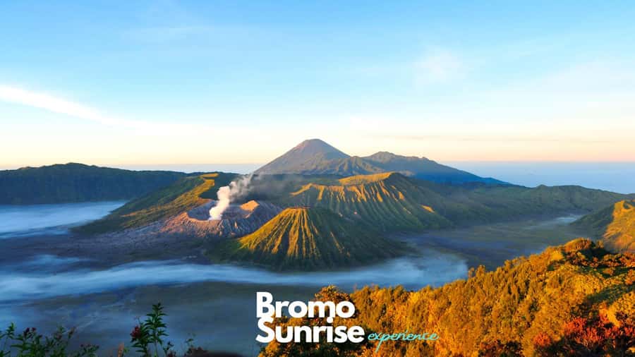 Banyuwangi: Ijen Crater and Bromo Mountain 2 Day Tour - Day 1: Midnight Pickup in Banyuwangi and the Ijen Trek Setup