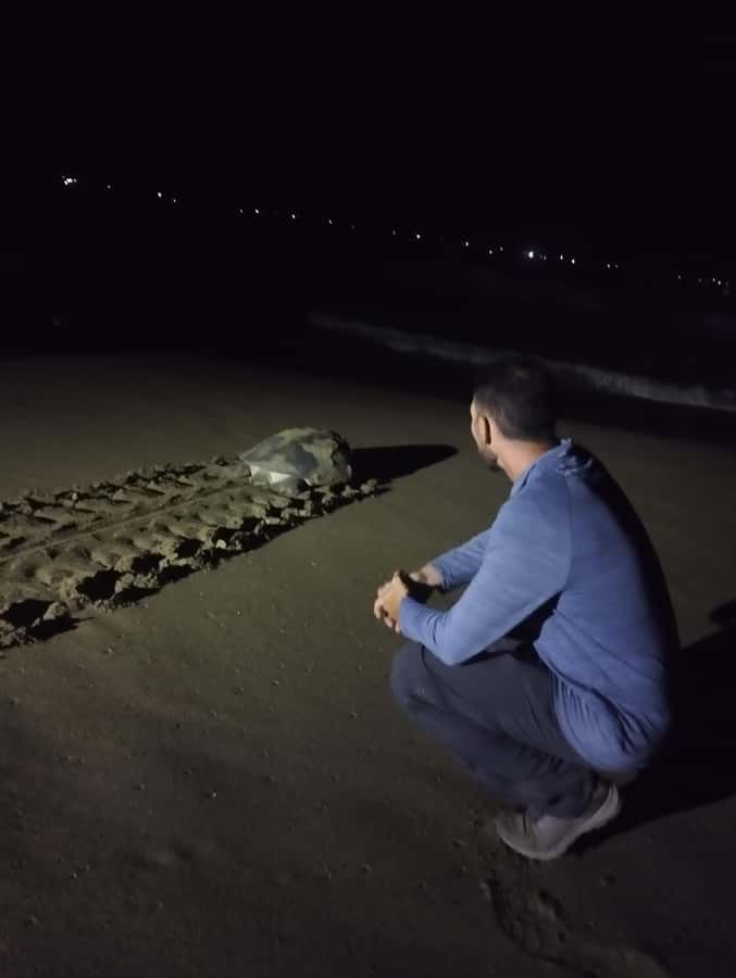 Banyuwangi: Sukamade Beach Turtle Conservation 2-Day Tour - Why this turtle conservation tour feels different in Java