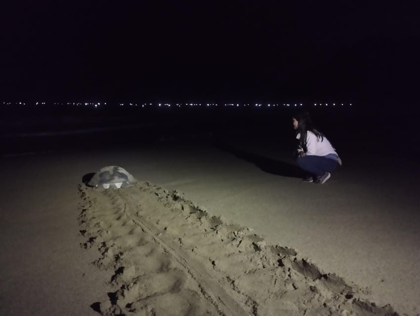 Banyuwangi: Sukamade Beach Turtle Conservation 2-Day Tour - Djawatan Forest and jungle stops that break up the long travel
