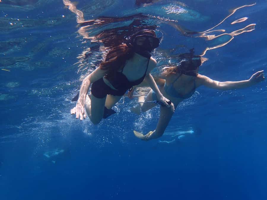 Basic Snorkeling Menjangan Island - What’s included, and what you should plan to bring