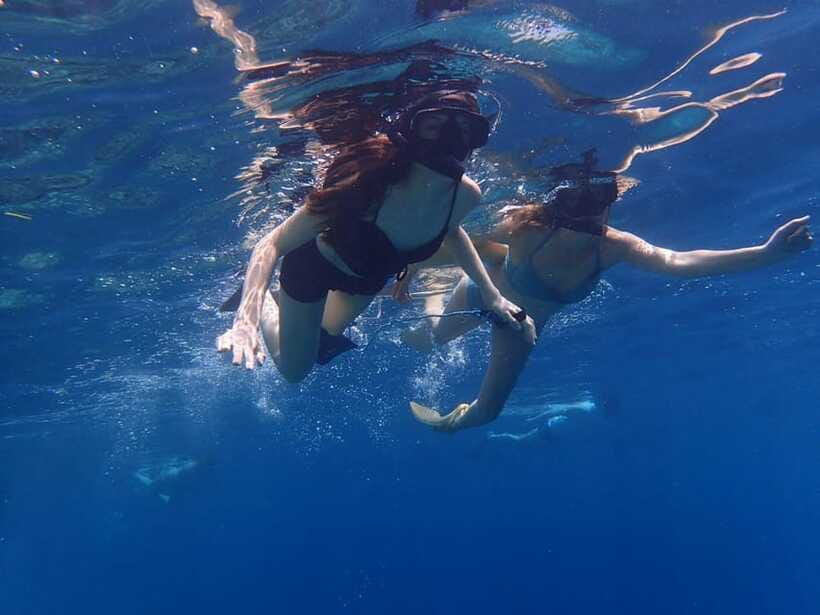 Basic Snorkeling Menjangan Island - Two snorkeling spots, chosen from eight, is the real upgrade